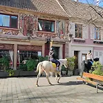 Fleuri Le Marronnier, Au Calme, Terrasse, Parking Et Clim , Entre Colmar-riquewihr Et Obernai * Châtenois
