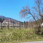 Le Marronnier Au Calme, Parking, Terrasse, Clim - Commerces A 150m - Pres De Colmar - Route Des Vins ,vue Sur Espace Et Montagne * Chatenois (Bas-Rhin)