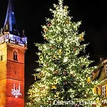 Apartmán Gite Fleuri Le Marronnier, Au Calme, Terrasse, Parking Et Clim , Entre Colmar-Riquewihr Et Obernai Châtenois