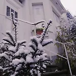 Gite Fleuri Le Marronnier, Au Calme, Terrasse, Parking Et Clim , Entre Colmar-Riquewihr Et Obernai Apartmán Châtenois
