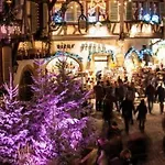 Fleuri Le Marronnier, Au Calme, Terrasse, Parking Et Clim , Entre Colmar-riquewihr Et Obernai * Châtenois