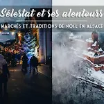 아파트 Superbe Gite Le Marronnier Au Calme, Parking, Terrasse, Clim - Commerces A 150M Entre Plaine Et Montagne - Pres De Colmar - Route Des Vins ,Vue Sur Espace Vert Et Montagne *