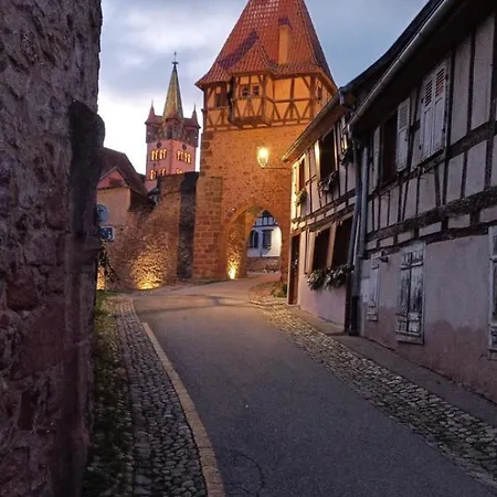 Avec Parking, Au Calme, Entre Colmar-riquewihr Et Obernai, Terrasse, Vue Sur Espaces Verts Et Coteaux D Alsace, Route Du Vin-chateaux Apartmán *