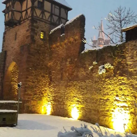 Apartmán Avec Parking, Au Calme, Entre Colmar-riquewihr Et Obernai, Terrasse, Vue Sur Espaces Verts Et Coteaux D Alsace, Route Du Vin-chateaux Châtenois