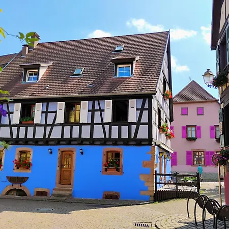 Le Marronnier - Au Calme - Parking & Terrasse - Pres De Colmar Et Riquewihr - Route Des Vins Apartment Chatenois (Bas-Rhin)