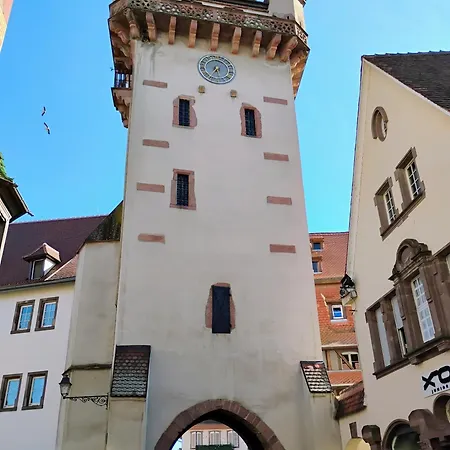 Apartmán Avec Parking, Au Calme, Entre Colmar-riquewihr Et Obernai, Terrasse, Vue Sur Espaces Verts Et Coteaux D Alsace, Route Du Vin-chateaux Châtenois