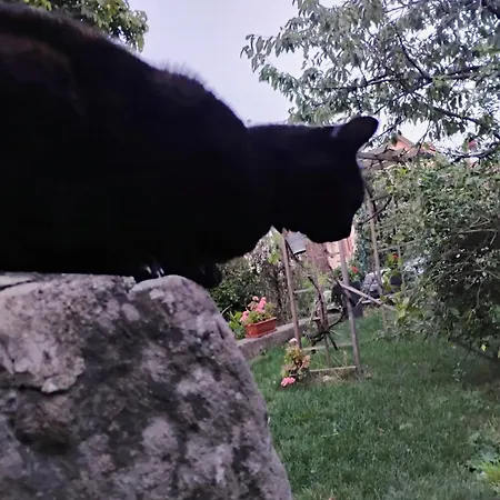 Apartmán Avec Parking, Au Calme, Entre Colmar-riquewihr Et Obernai, Terrasse, Vue Sur Espaces Verts Et Coteaux D Alsace, Route Du Vin-chateaux *