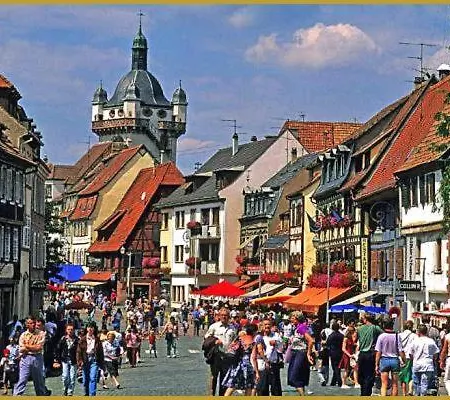 Avec Parking, Au Calme, Entre Colmar-riquewihr Et Obernai, Terrasse, Vue Sur Espaces Verts Et Coteaux D Alsace, Route Du Vin-chateaux Apartmán Châtenois