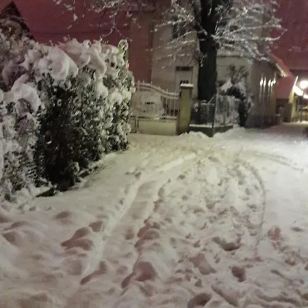 Le Marronnier - Au Calme - Parking & Terrasse - Pres De Colmar Et Riquewihr - Route Des Vins Châtenois