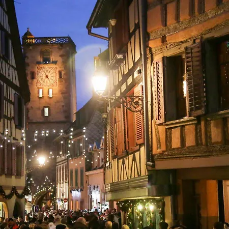 Apartmán Avec Parking, Au Calme, Entre Colmar-riquewihr Et Obernai, Terrasse, Vue Sur Espaces Verts Et Coteaux D Alsace, Route Du Vin-chateaux Châtenois