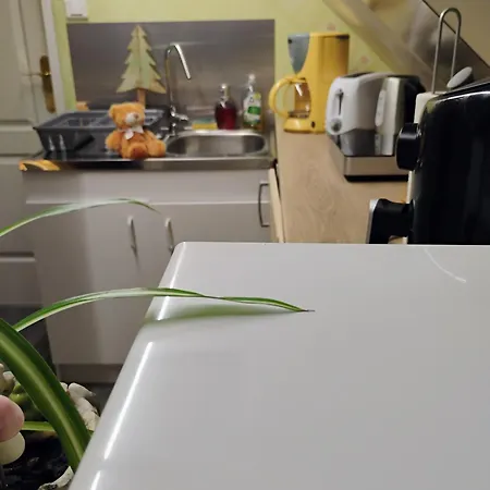 Avec Parking, Au Calme, Entre Colmar-riquewihr Et Obernai, Terrasse, Vue Sur Espaces Verts Et Coteaux D Alsace, Route Du Vin-chateaux Apartmán *