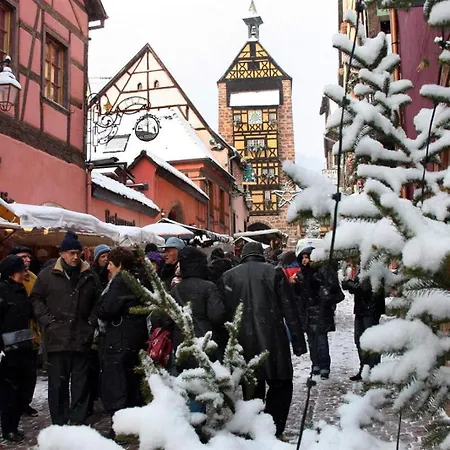 Apartmán Avec Parking, Au Calme, Entre Colmar-riquewihr Et Obernai, Terrasse, Vue Sur Espaces Verts Et Coteaux D Alsace, Route Du Vin-chateaux