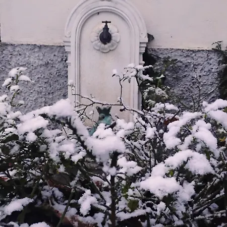 Apartment Le Marronnier - Au Calme - Parking & Terrasse - Pres De Colmar Et Riquewihr - Route Des Vins Chatenois (Bas-Rhin)
