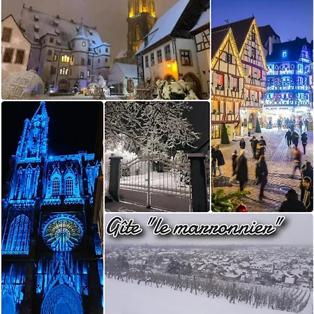 Apartmán Avec Parking, Au Calme, Entre Colmar-riquewihr Et Obernai, Terrasse, Vue Sur Espaces Verts Et Coteaux D Alsace, Route Du Vin-chateaux *