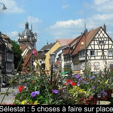 Διαμέρισμα Le Marronnier - Au Calme - Parking & Terrasse - Pres De Colmar Et Riquewihr - Route Des Vins Châtenois