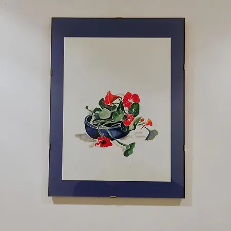 Avec Parking, Au Calme, Entre Colmar-riquewihr Et Obernai, Terrasse, Vue Sur Espaces Verts Et Coteaux D Alsace, Route Du Vin-chateaux Châtenois