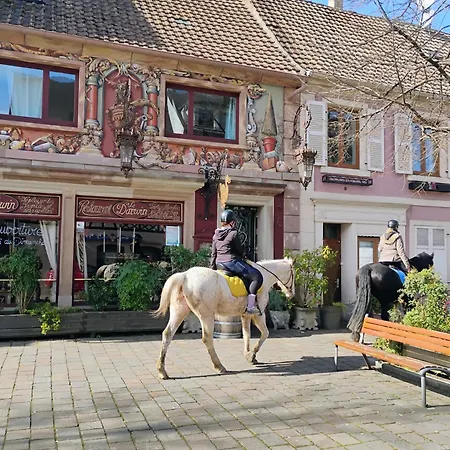 Avec Parking, Au Calme, Entre Colmar-riquewihr Et Obernai, Terrasse, Vue Sur Espaces Verts Et Coteaux D Alsace, Route Du Vin-chateaux * Châtenois