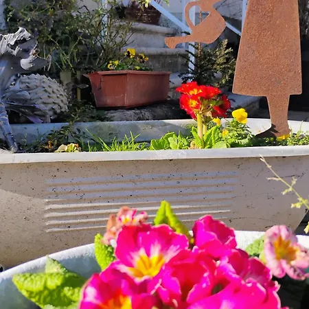 Le Marronnier - Au Calme - Parking & Terrasse - Pres De Colmar Et Riquewihr - Route Des Vins Apartment