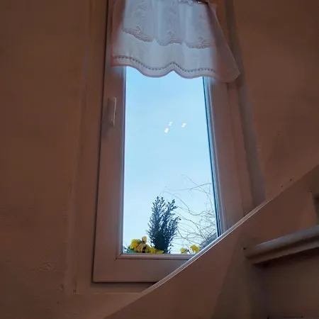 Gite Villa Le Marronnier, Grande Terrasse, Parking Prive & Spa Prive, Rue Tres Calme, Entre Colmar-Riquewihr Et Obernai, Avec Climatisation - Route Des Vins D'Alsace Апартаменты *