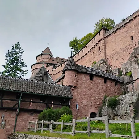 Апартаменты Gite Villa Le Marronnier, Grande Terrasse, Parking Prive & Spa Prive, Rue Tres Calme, Entre Colmar-Riquewihr Et Obernai, Avec Climatisation - Route Des Vins D'Alsace