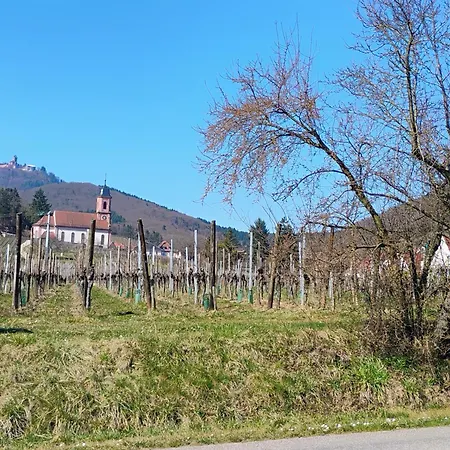 Fleuri Le Marronnier, Au Calme, Terrasse, Parking Et Clim , Entre Colmar-riquewihr Et Obernai * Châtenois