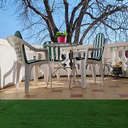 Le Marronnier - Au Calme - Parking & Terrasse - Pres De Colmar Et Riquewihr - Route Des Vins * Chatenois (Bas-Rhin)