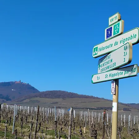 Avec Parking, Au Calme, Entre Colmar-riquewihr Et Obernai, Terrasse, Vue Sur Espaces Verts Et Coteaux D Alsace, Route Du Vin-chateaux Apartmán Châtenois