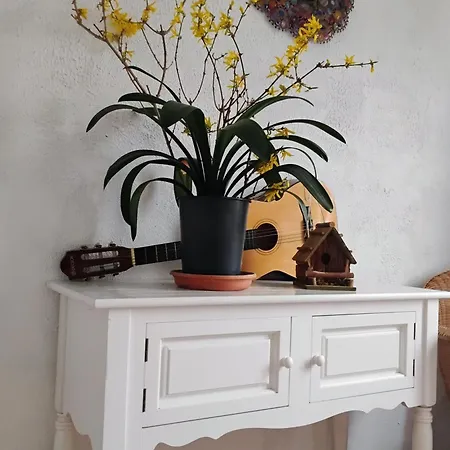 Appartement Villa Le Marronnier, Clim, Terrasse, Parking & Spa Prive, Calme, Entre Colmar-Riquewihr Et Obernai, Route Des Vins D'Alsace *