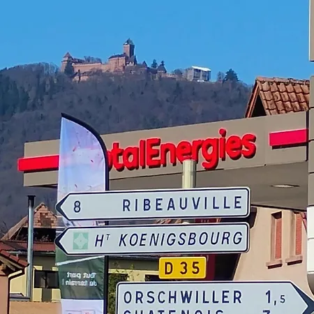 Avec Parking, Au Calme, Entre Colmar-riquewihr Et Obernai, Terrasse, Vue Sur Espaces Verts Et Coteaux D Alsace, Route Du Vin-chateaux Apartmán Châtenois