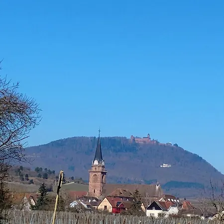 Апартаменты Gite Villa Le Marronnier, Grande Terrasse, Parking Prive & Spa Prive, Rue Tres Calme, Entre Colmar-Riquewihr Et Obernai, Avec Climatisation - Route Des Vins D'Alsace