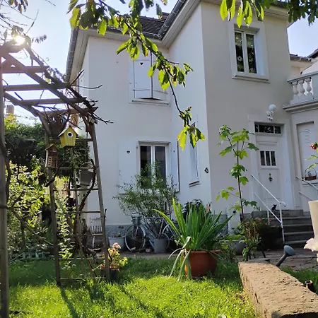 Le Marronnier - Au Calme - Parking & Terrasse - Pres De Colmar Et Riquewihr - Route Des Vins Chatenois (Bas-Rhin)