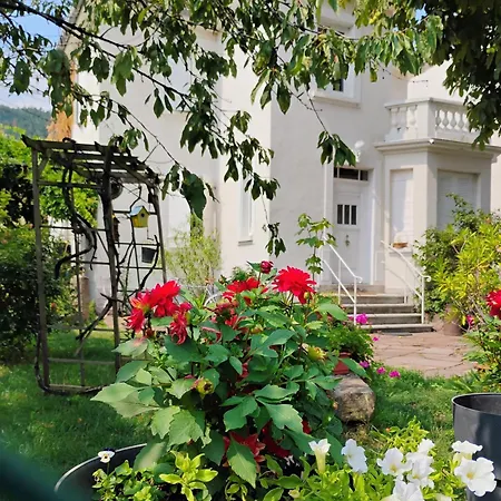 公寓 Fleuri Le Marronnier, Au Calme, Terrasse, Parking Et Clim , Entre Colmar-riquewihr Et Obernai *