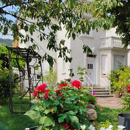 Avec Parking, Au Calme, Entre Colmar-riquewihr Et Obernai, Terrasse, Vue Sur Espaces Verts Et Coteaux D Alsace, Route Du Vin-chateaux Apartmán *