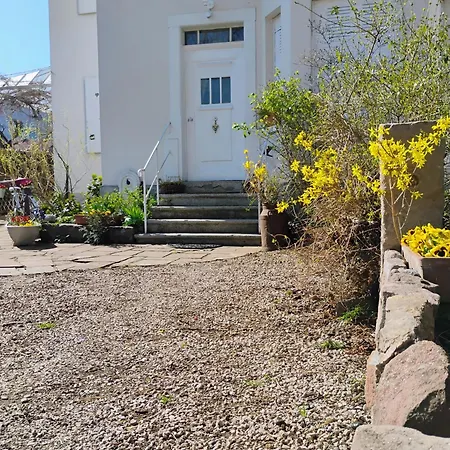 Le Marronnier - Au Calme - Parking & Terrasse - Pres De Colmar Et Riquewihr - Route Des Vins