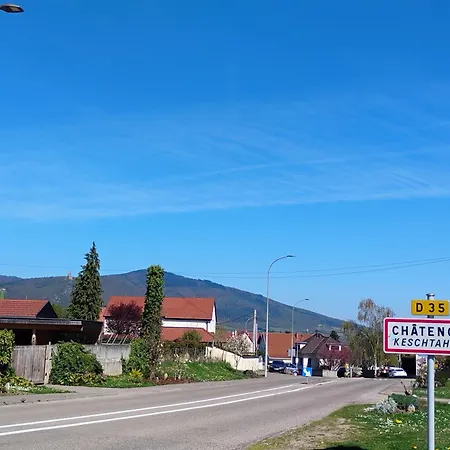 Apartman Fleuri Le Marronnier, Au Calme, Terrasse, Parking Et Clim , Entre Colmar-riquewihr Et Obernai Châtenois