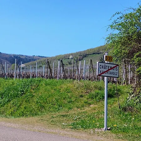 Apartment Le Marronnier - Au Calme - Parking & Terrasse - Pres De Colmar Et Riquewihr - Route Des Vins *