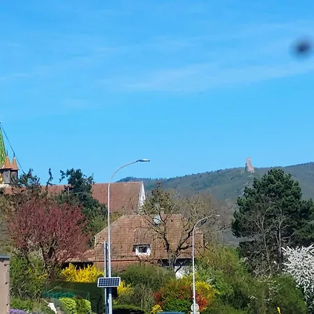 Le Marronnier - Au Calme - Parking & Terrasse - Pres De Colmar Et Riquewihr - Route Des Vins * Chatenois (Bas-Rhin)