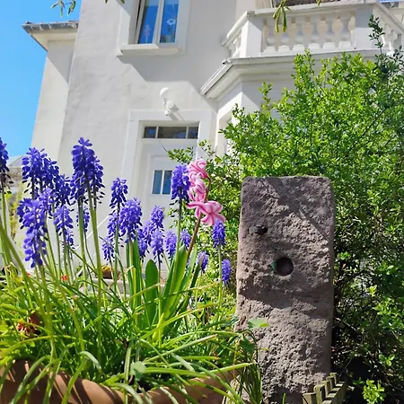 Апартаменты Gite Villa Le Marronnier, Grande Terrasse, Parking Prive & Spa Prive, Rue Tres Calme, Entre Colmar-Riquewihr Et Obernai, Avec Climatisation - Route Des Vins D'Alsace Шатнуа