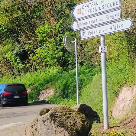Apartment Le Marronnier - Au Calme - Parking & Terrasse - Pres De Colmar Et Riquewihr - Route Des Vins