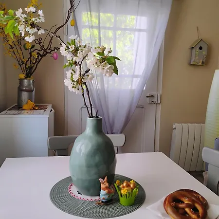Апартаменты Gite Villa Le Marronnier, Grande Terrasse, Parking Prive & Spa Prive, Rue Tres Calme, Entre Colmar-Riquewihr Et Obernai, Avec Climatisation - Route Des Vins D'Alsace Шатнуа