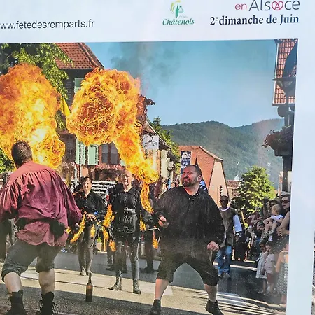 Le Marronnier - Au Calme - Parking & Terrasse - Pres De Colmar Et Riquewihr - Route Des Vins Chatenois (Bas-Rhin)