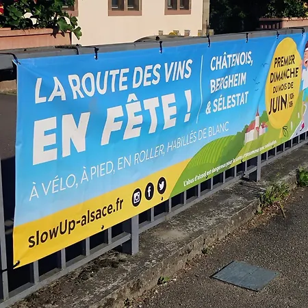 Le Marronnier - Au Calme - Parking & Terrasse - Pres De Colmar Et Riquewihr - Route Des Vins Apartment