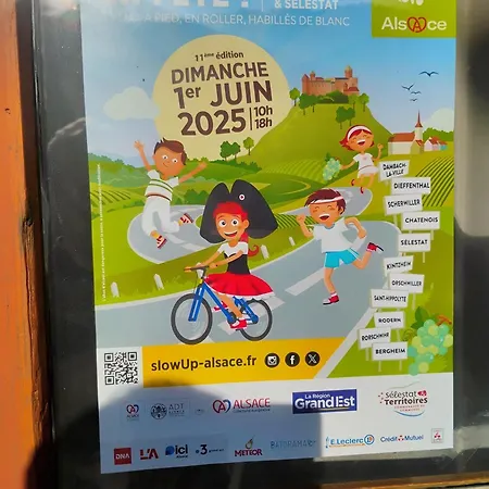 Le Marronnier - Au Calme - Parking & Terrasse - Pres De Colmar Et Riquewihr - Route Des Vins Διαμέρισμα Châtenois