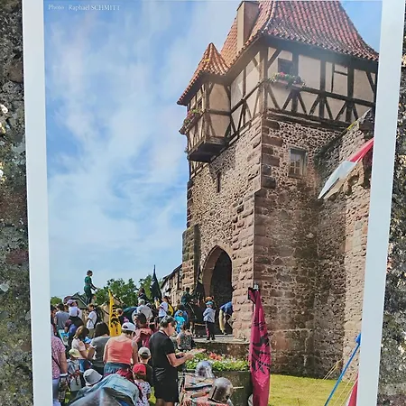Gite Villa Le Marronnier, Grande Terrasse, Parking Prive & Spa Prive, Rue Tres Calme, Entre Colmar-Riquewihr Et Obernai, Avec Climatisation - Route Des Vins D'Alsace *