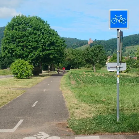 Fleuri Le Marronnier, Au Calme, Terrasse, Parking Et Clim , Entre Colmar-riquewihr Et Obernai Apartman *