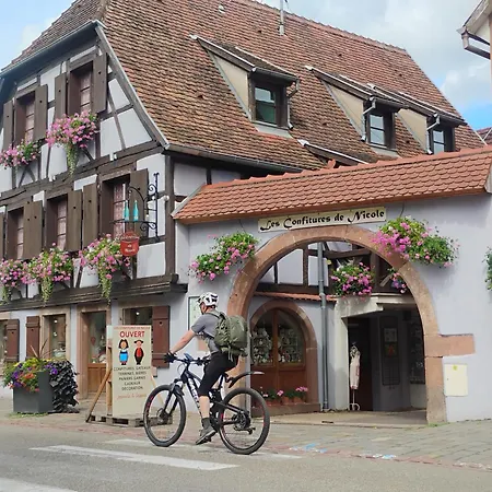Апартаменты Gite Villa Le Marronnier, Grande Terrasse, Parking Prive & Spa Prive, Rue Tres Calme, Entre Colmar-Riquewihr Et Obernai, Avec Climatisation - Route Des Vins D'Alsace