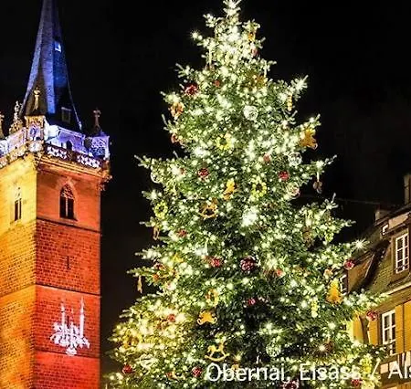 Апартаменты Gite Villa Le Marronnier, Grande Terrasse, Parking Prive & Spa Prive, Rue Tres Calme, Entre Colmar-Riquewihr Et Obernai, Avec Climatisation - Route Des Vins D'Alsace Шатнуа