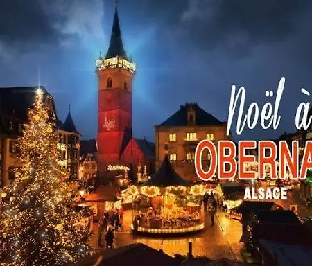 Apartmán Avec Parking, Au Calme, Entre Colmar-riquewihr Et Obernai, Terrasse, Vue Sur Espaces Verts Et Coteaux D Alsace, Route Du Vin-chateaux