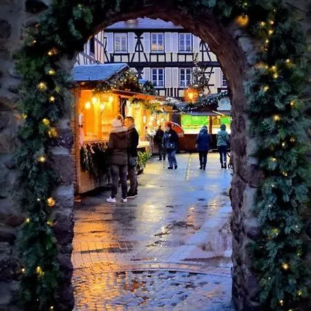 Avec Parking, Au Calme, Entre Colmar-riquewihr Et Obernai, Terrasse, Vue Sur Espaces Verts Et Coteaux D Alsace, Route Du Vin-chateaux Apartmán *