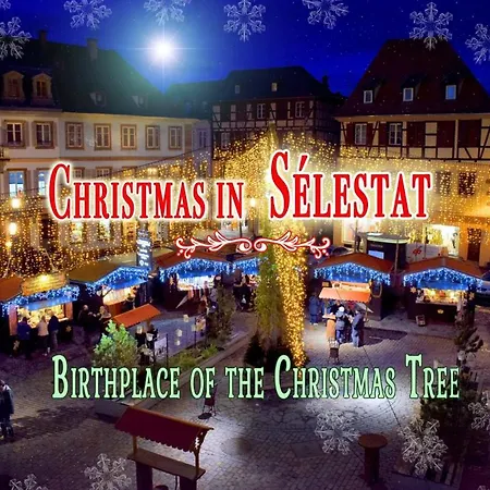 Avec Parking, Au Calme, Entre Colmar-riquewihr Et Obernai, Terrasse, Vue Sur Espaces Verts Et Coteaux D Alsace, Route Du Vin-chateaux Apartmán